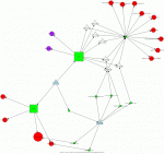 Zombie network activity representation by Dorothy