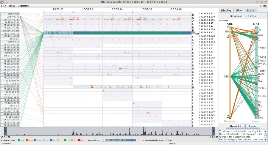 IPv4 LAN Traffic on a host visualized with tnv
